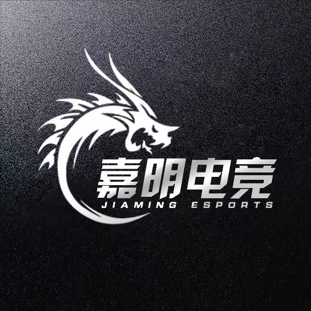 向经理电竞